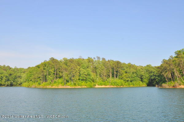LOT 49 OSPREY AVENUE, Arley, AL 35541