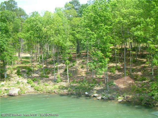 LOT # 48 OSPREV AVE, Arley, AL 35541