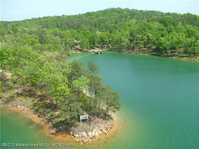 LOT # 21 SANDPIPER ST, Arley, AL 35541