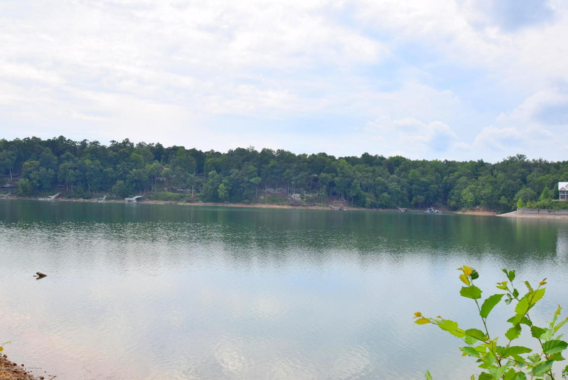 LOT 1 BRUSHY ACRES, Arley, AL 35541