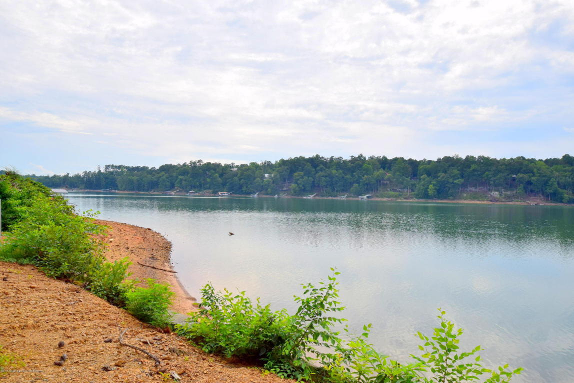 LOT 1 BRUSHY ACRES, Arley, AL 35541