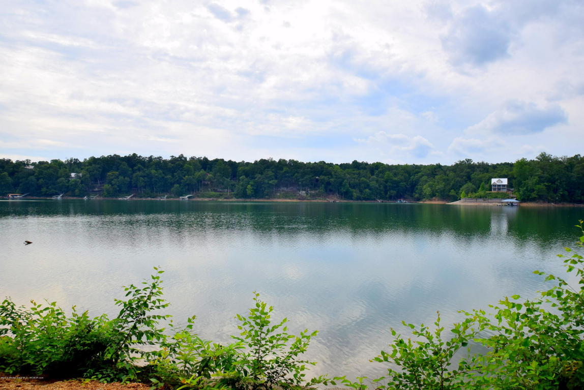 LOT 1 BRUSHY ACRES, Arley, AL 35541