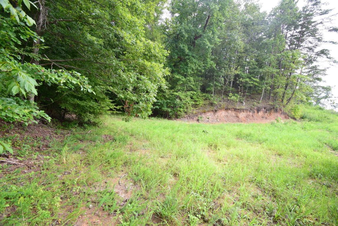 LOT 1 BRUSHY ACRES, Arley, AL 35541
