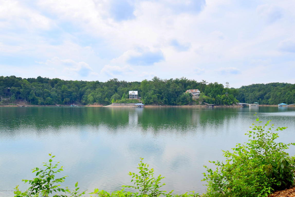 LOT 1 BRUSHY ACRES, Arley, AL 35541