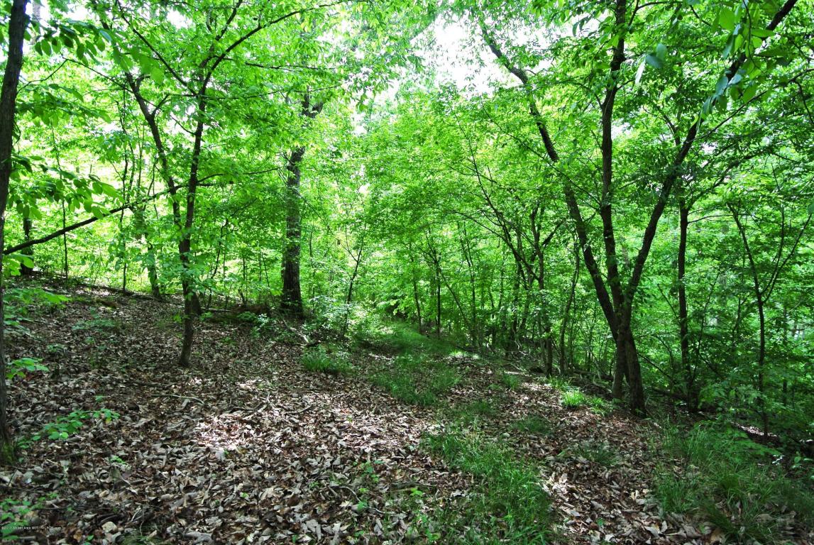 LOT 21 BRUSHY ESTATES, Arley, AL 35541