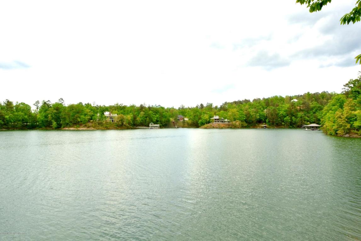 LOT 21 BRUSHY ESTATES, Arley, AL 35541