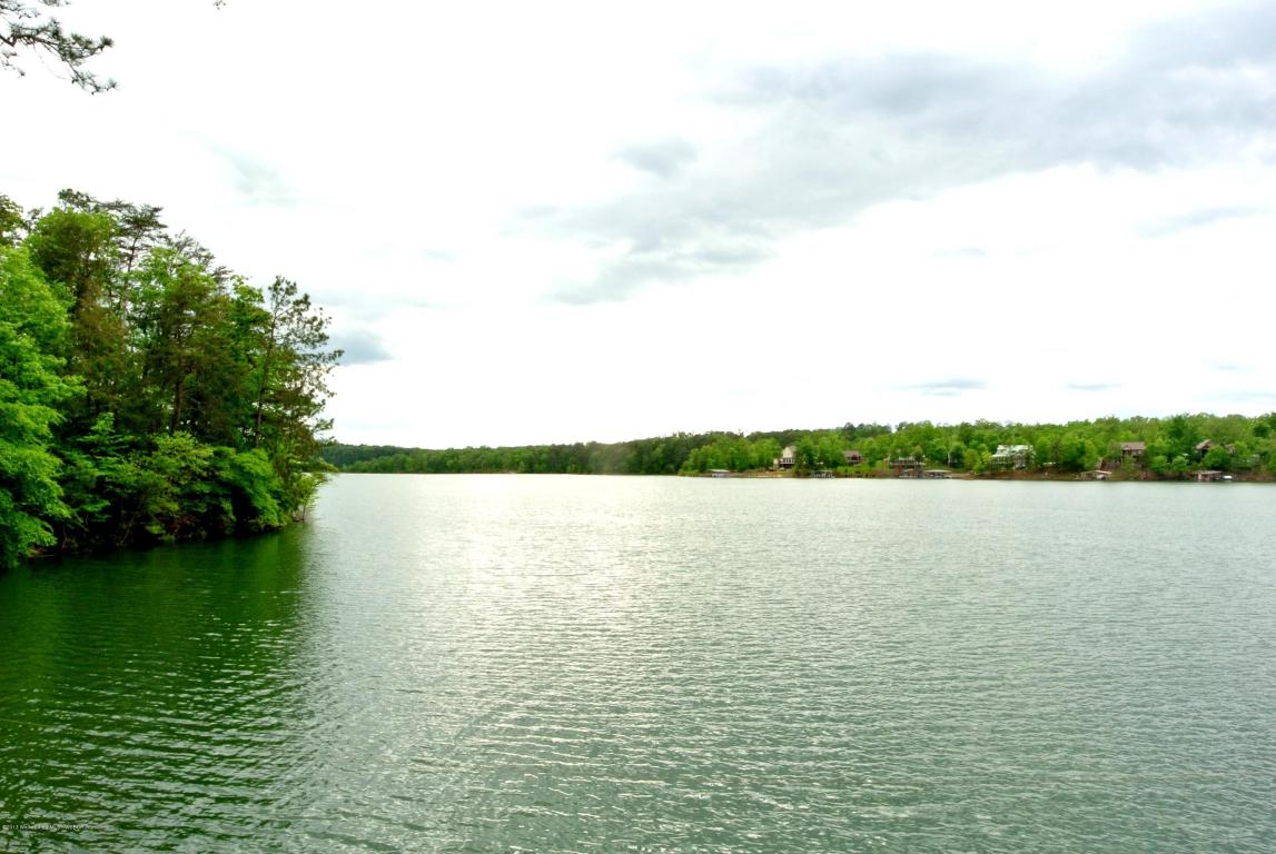 LOT 21 BRUSHY ESTATES, Arley, AL 35541
