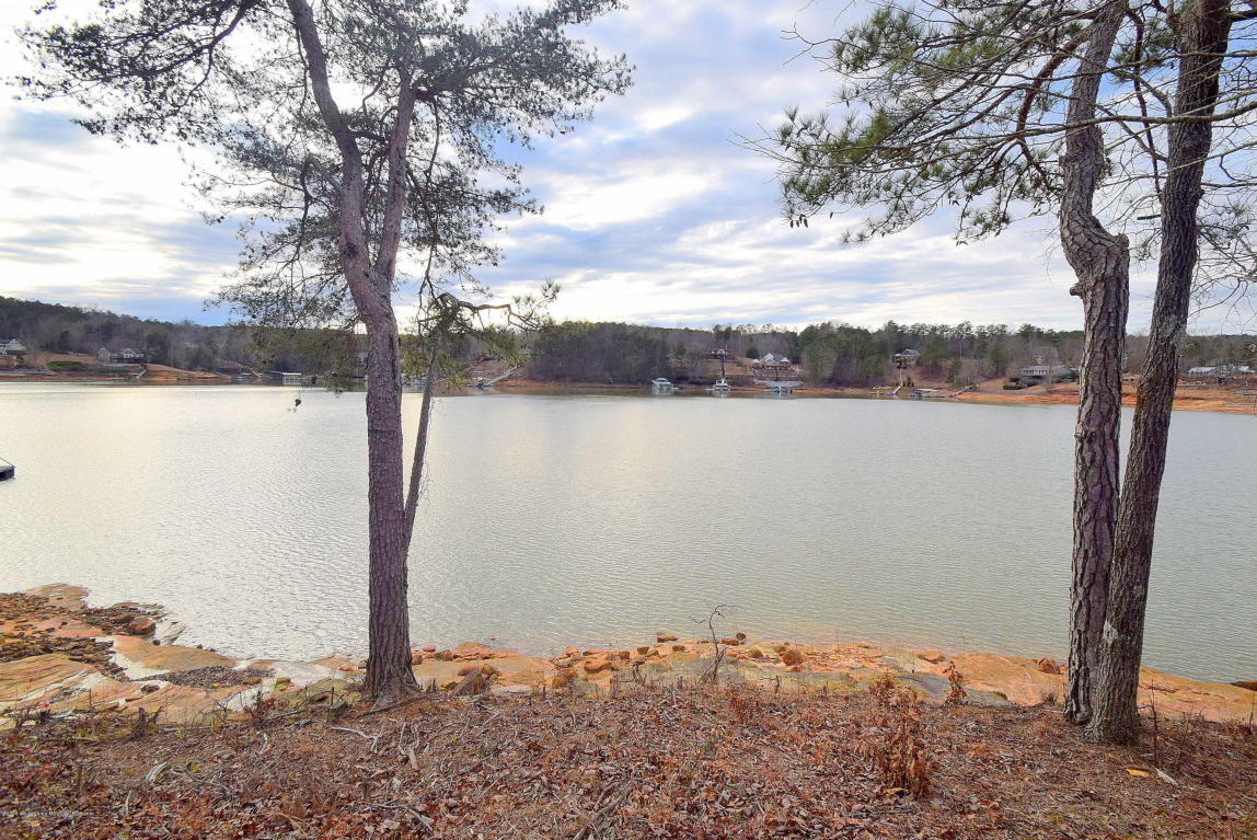 LOT 105 SIPSEY PINES, Arley, AL 35541