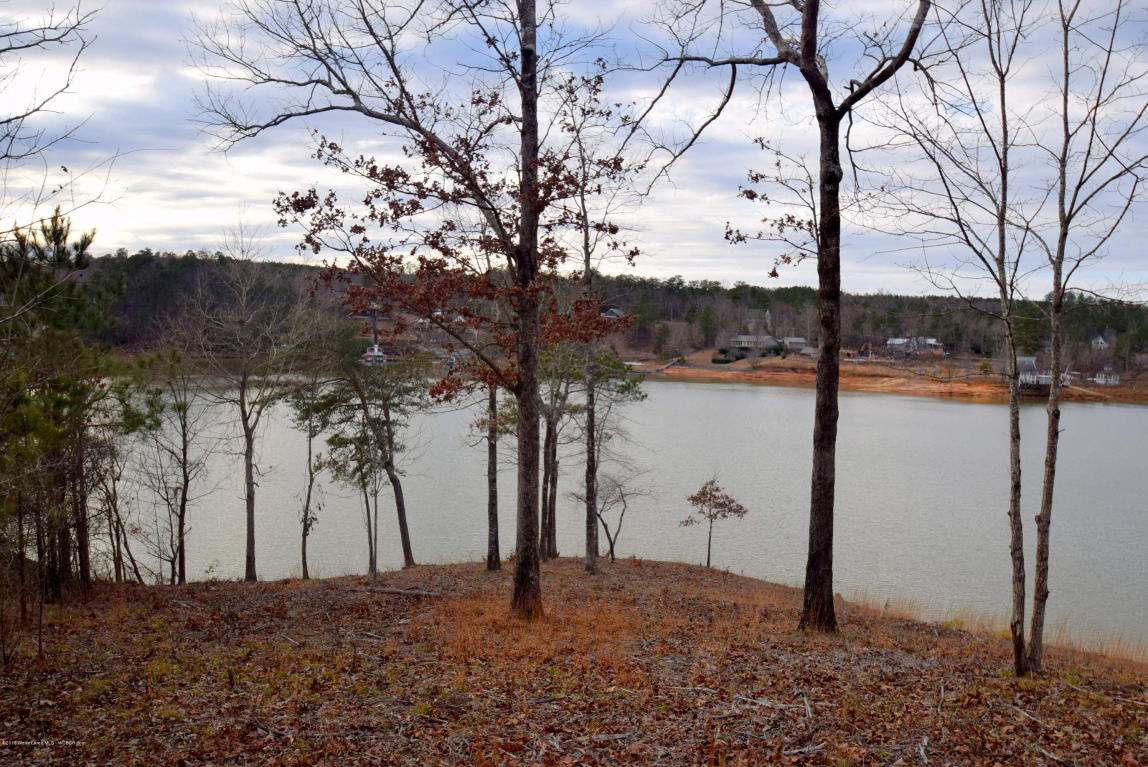 LOT 105 SIPSEY PINES, Arley, AL 35541