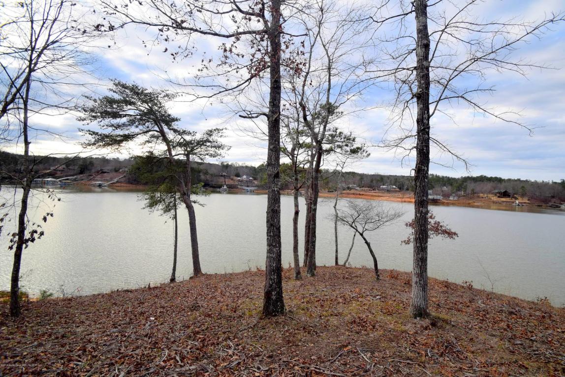 LOT 105 SIPSEY PINES, Arley, AL 35541