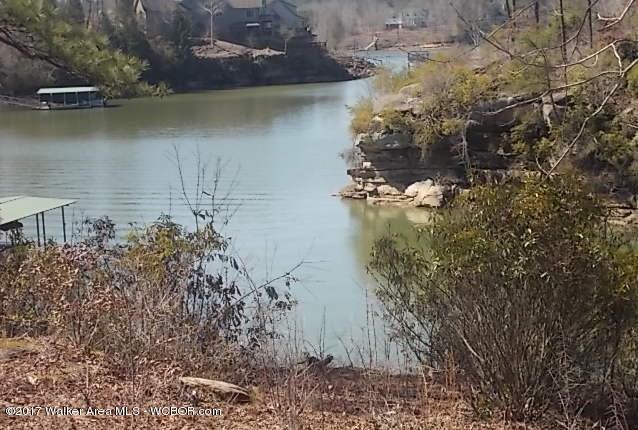 137 SIPSEY PINES Rd, Arley, AL 35541