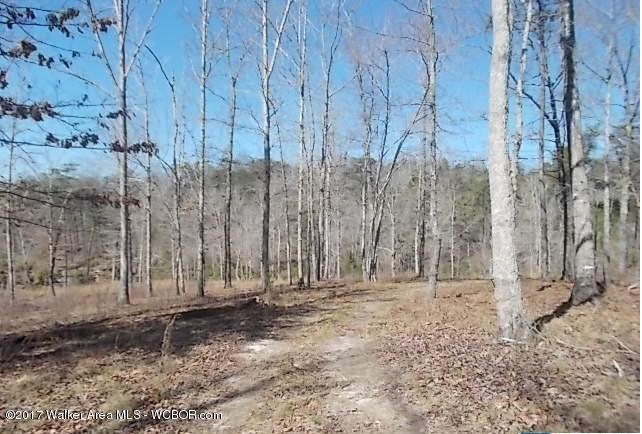 137 SIPSEY PINES Rd, Arley, AL 35541