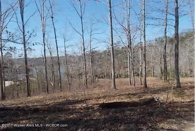 137 SIPSEY PINES Rd, Arley, AL 35541