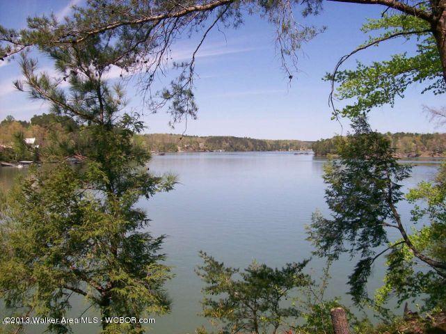 LOT #43 BRUSHY CREEK MAIN, Arley, AL 35541
