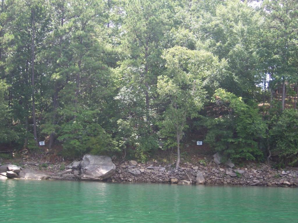 LOT16 PATRIOT&#039;S PARADISE, Arley, AL 35541