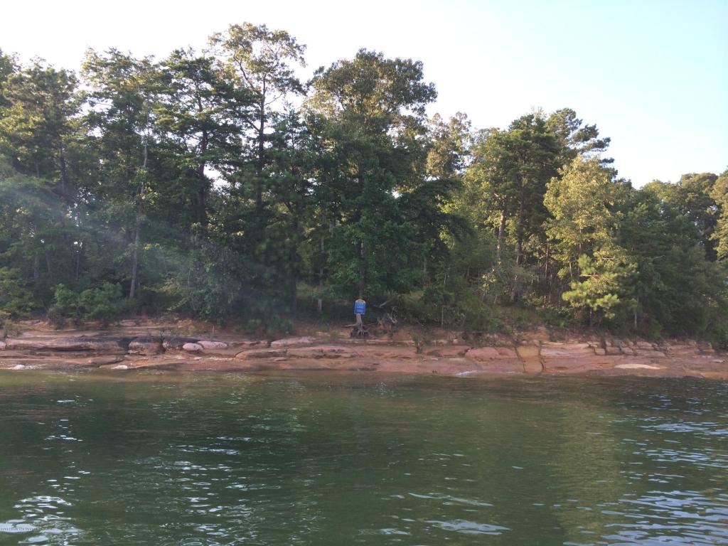 POINT LUCK DRIVE # 7, Arley, AL 35541
