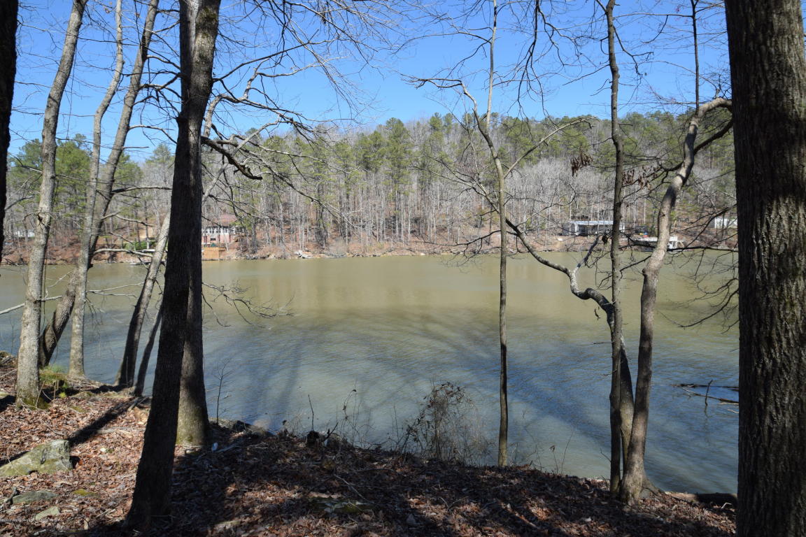 LOT 11 NORTHPOINTE DRIVE, Arley, AL 35541