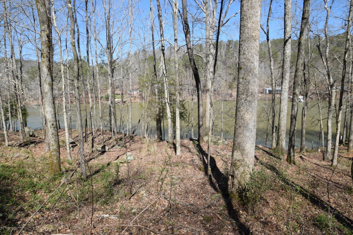 LOT 11 NORTHPOINTE DRIVE, Arley, AL 35541