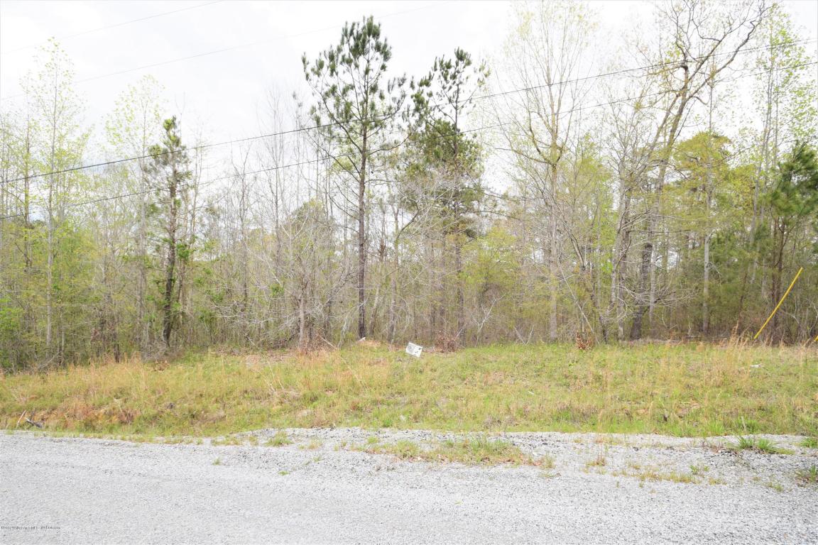 LOTS 45-48 BRUSHY ESTATES, Arley, AL 35541