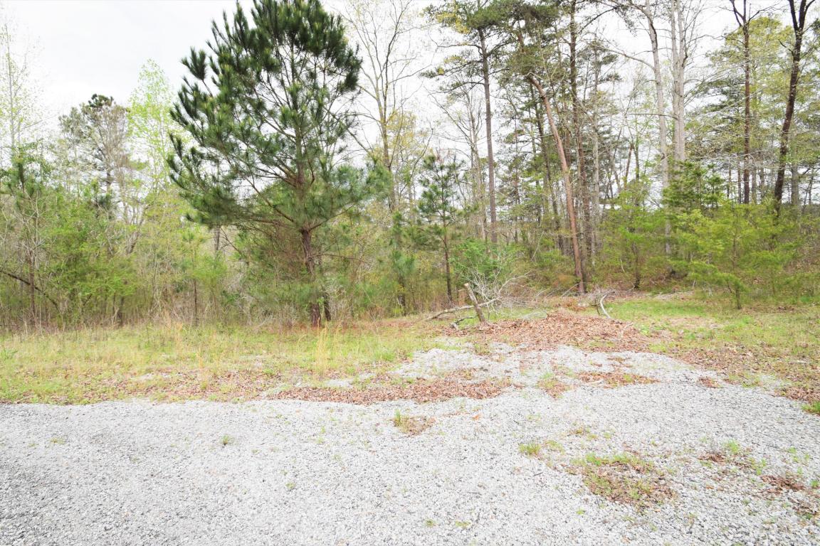LOTS 45-48 BRUSHY ESTATES, Arley, AL 35541