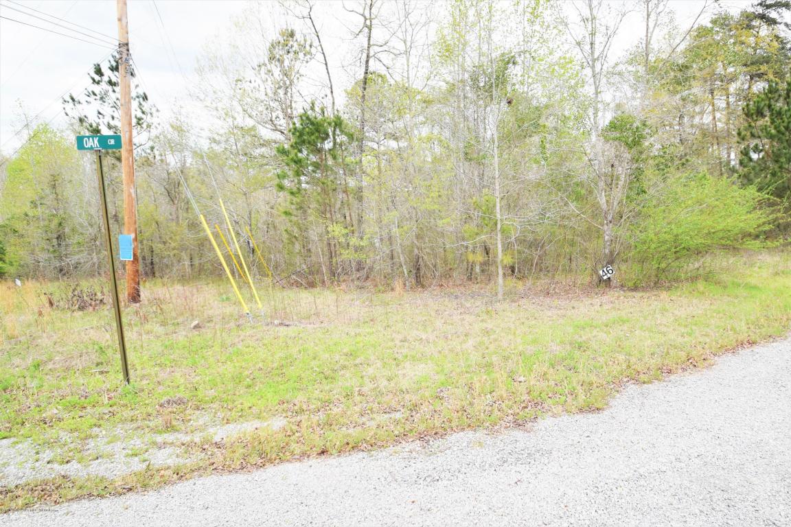 LOTS 45-48 BRUSHY ESTATES, Arley, AL 35541