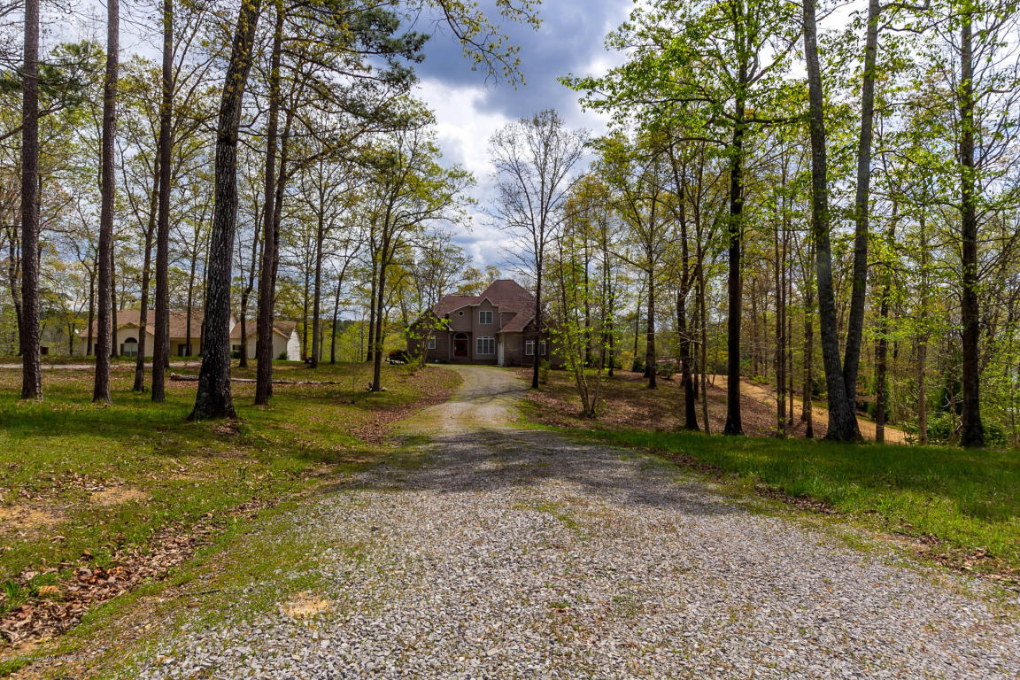 317 SIPSEY PINES Rd, Arley, AL 35541