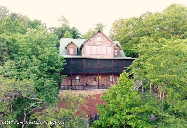 1523 SIPSEY PINES ROAD, Arley, AL 35541