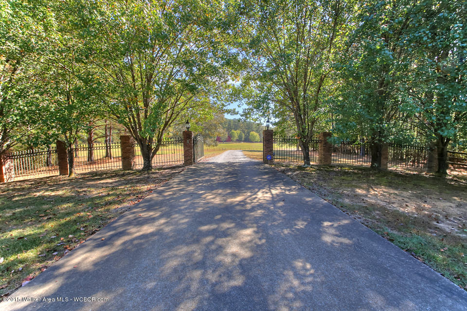 315 BRIDGEVIEW, Arley, AL 35541