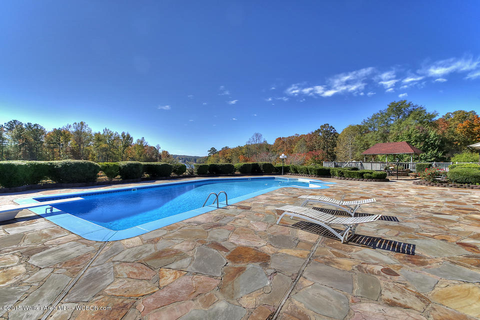 315 BRIDGEVIEW, Arley, AL 35541