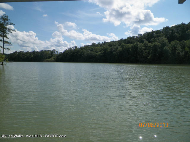 1202 FOREST SERVICE ROAD, Arley, AL 35541
