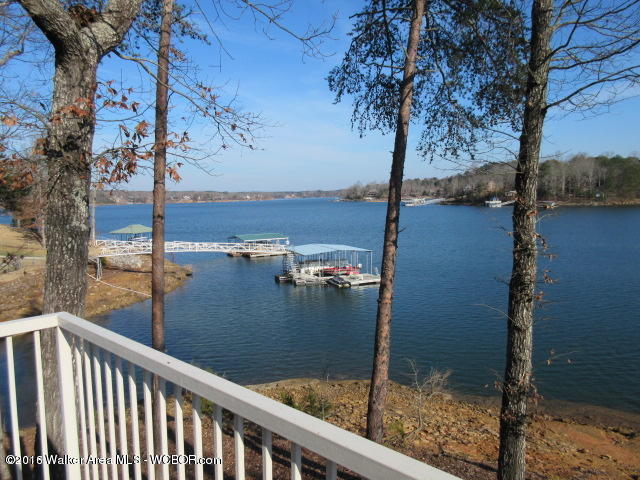 117 MCCOY POINTE Dr, Arley, AL 35541