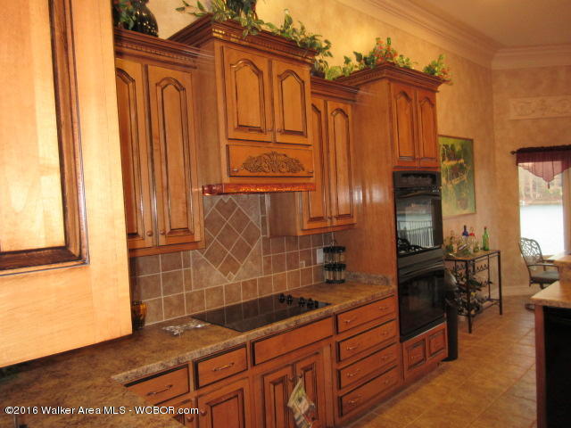 117 MCCOY POINTE Dr, Arley, AL 35541