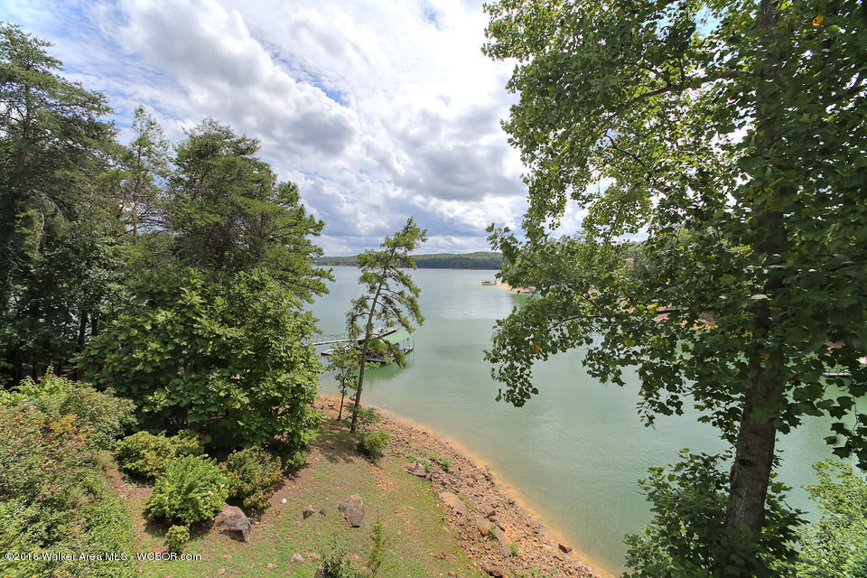 926 COUNTY ROAD 3960, Arley, AL 35541