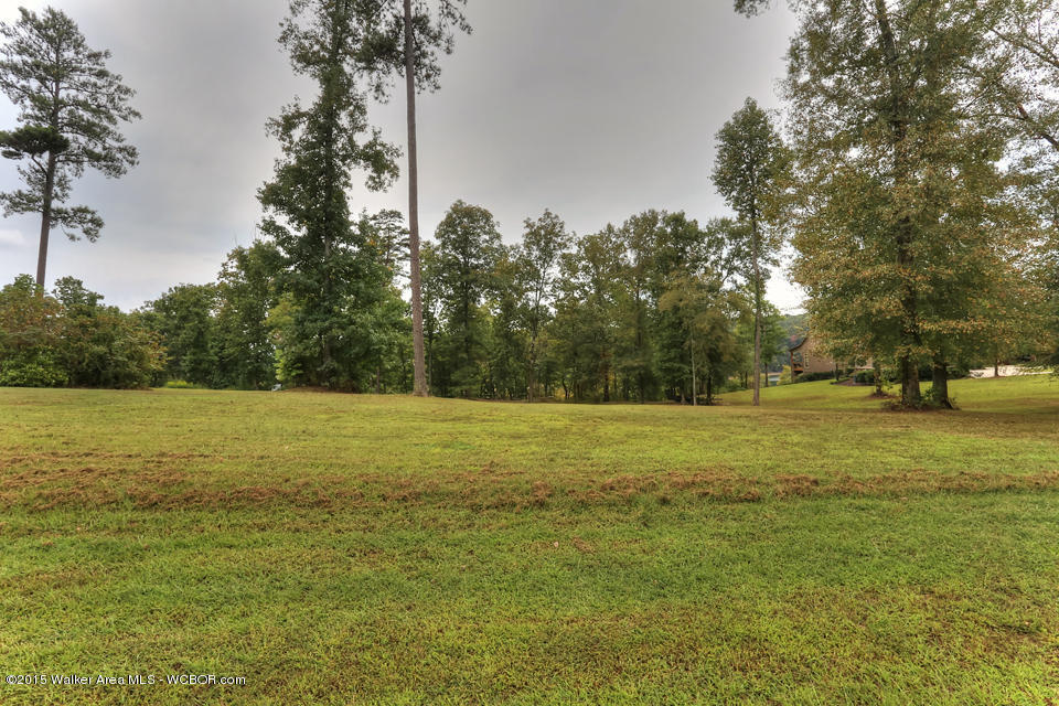 721 ROCK CREEK PENINSULA ROAD, Arley, AL 35541