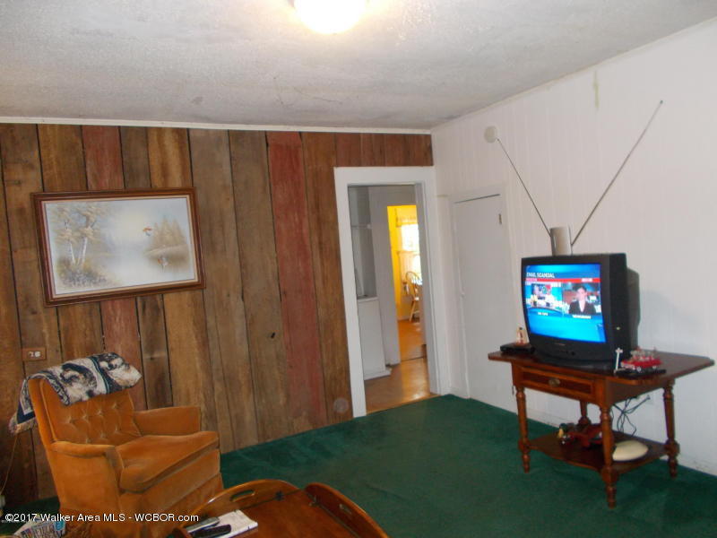 1151 COPELAND FERRY Rd, Cordova, AL 35550