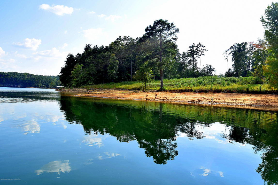 LOT 103 COUNTY ROAD 3078, Double Springs, AL 35553