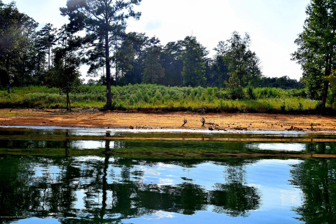 LOT 103 COUNTY ROAD 3078, Double Springs, AL 35553