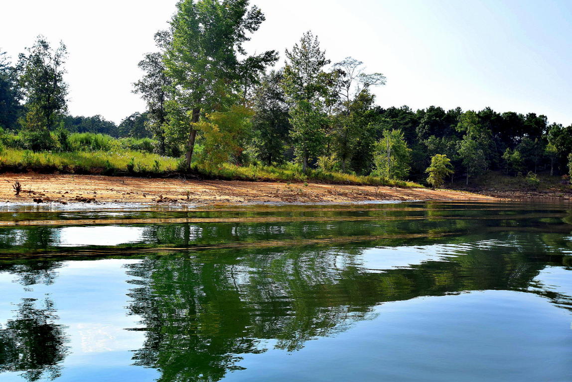 LOT 103 COUNTY ROAD 3078, Double Springs, AL 35553