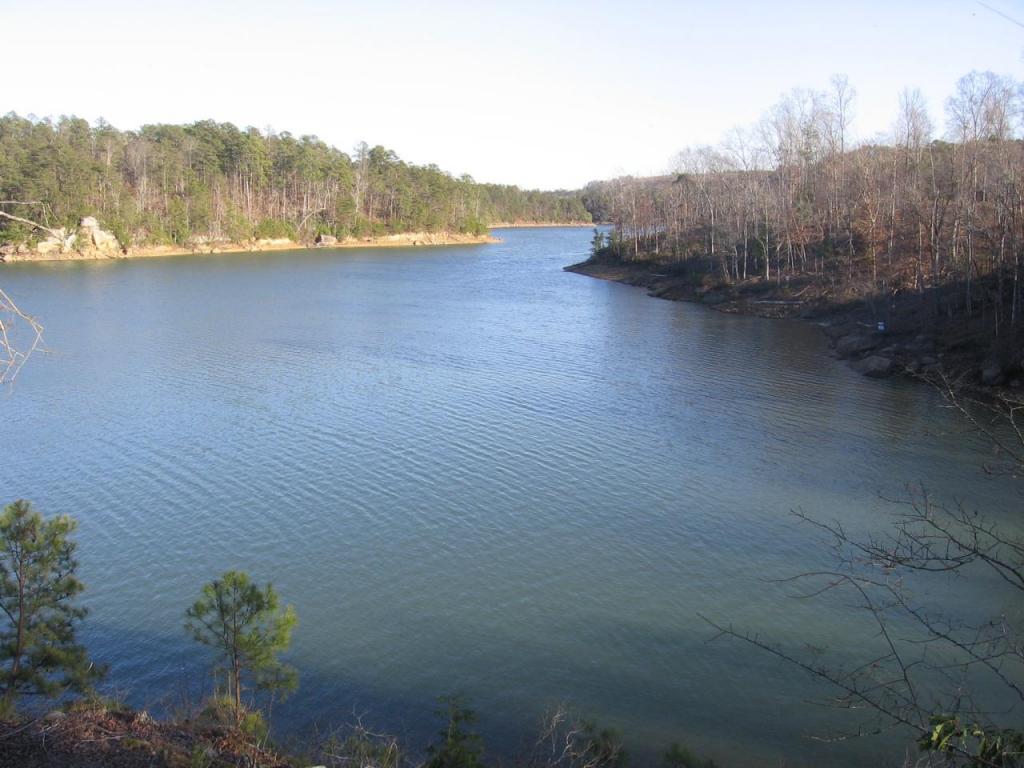 LOT #18 EAGLE POINTE, Double Springs, AL 35553