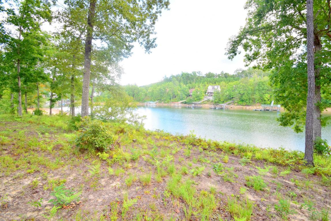 LOT 11 PARADISE POINTE, Double Springs, AL 35553