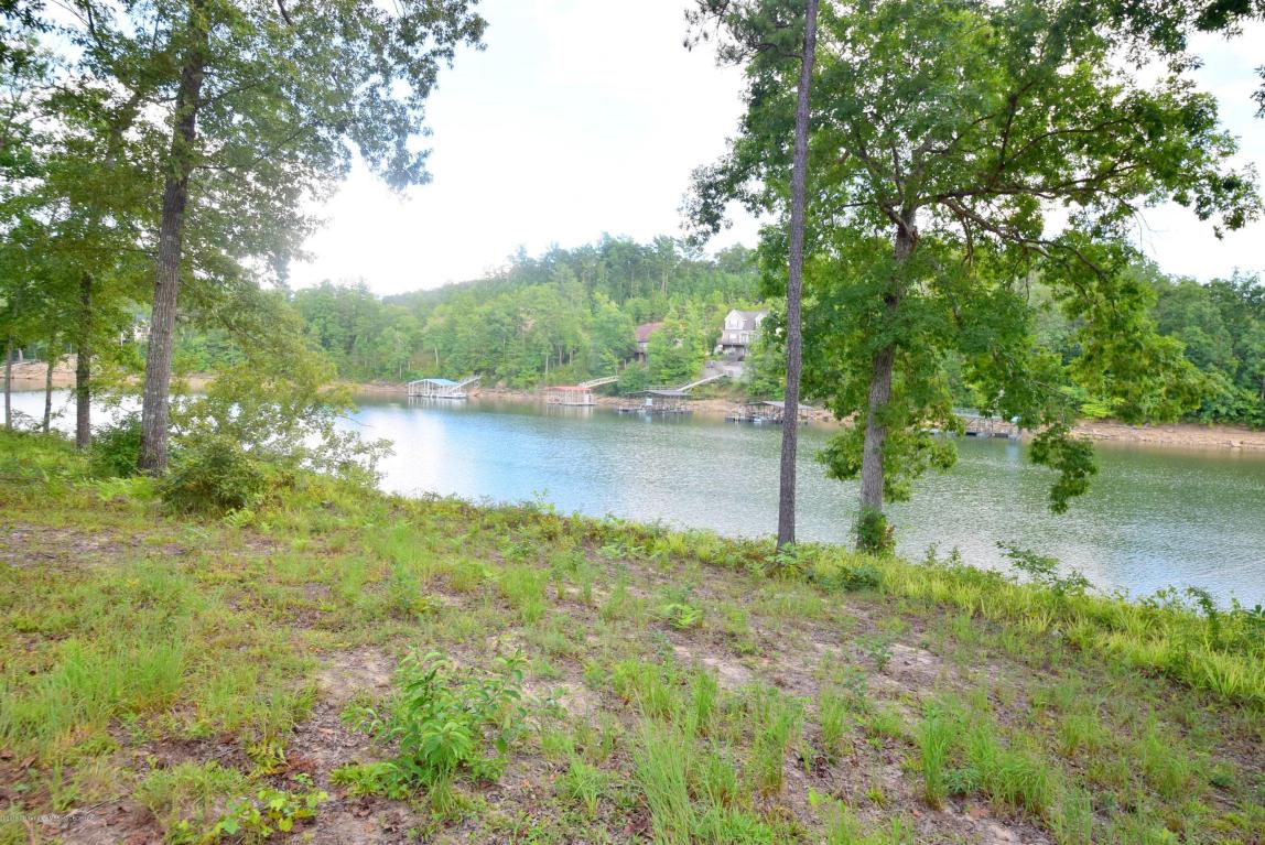 LOT 11 PARADISE POINTE, Double Springs, AL 35553