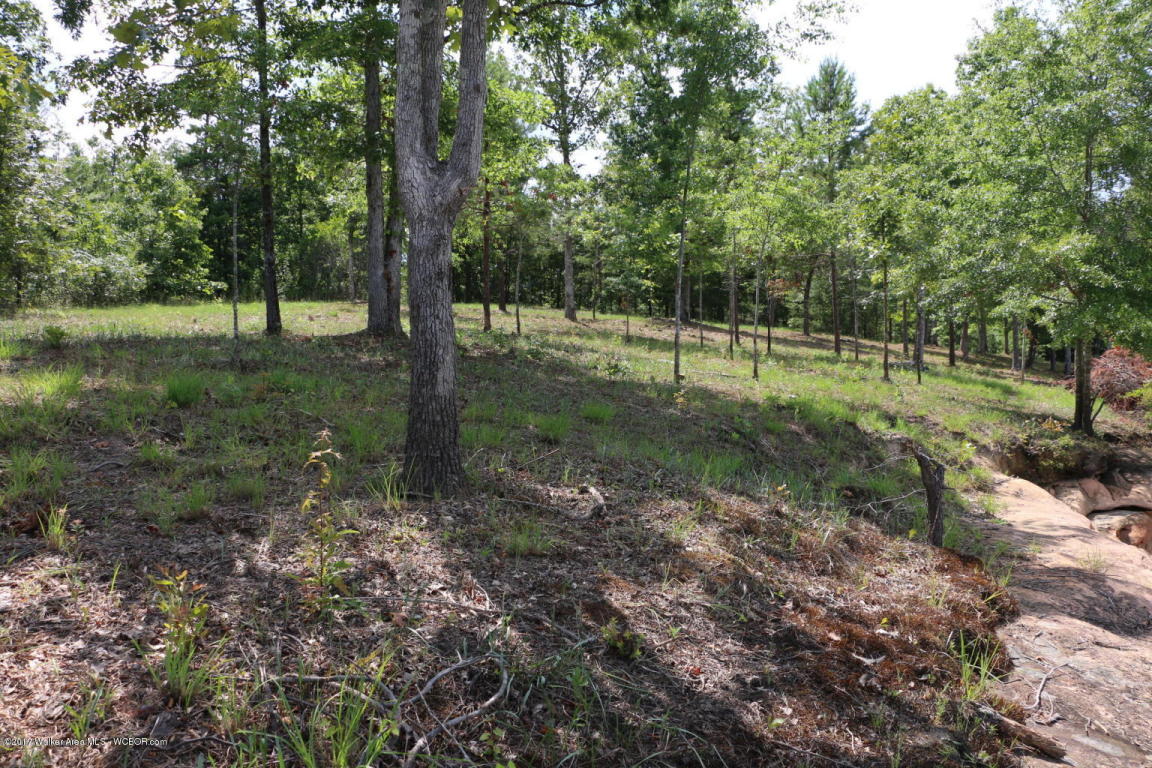 RIVERVIEW COURT, Double Springs, AL 35553