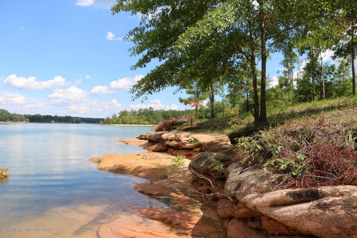 RIVERVIEW COURT, Double Springs, AL 35553