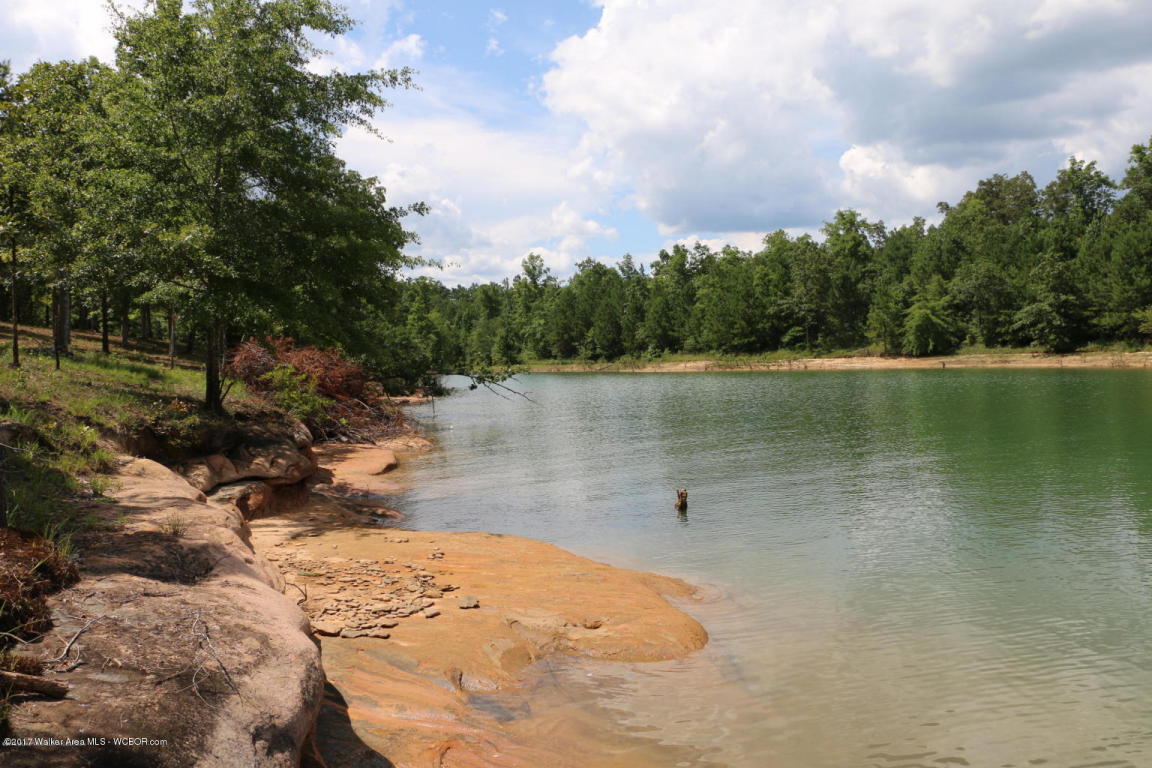 RIVERVIEW COURT, Double Springs, AL 35553