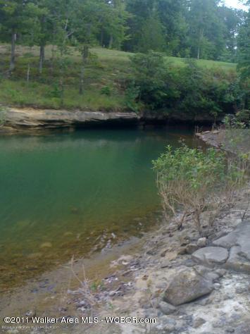 LOT 38 STONEY POINTE LANDING Ln, Double Springs, AL 35553
