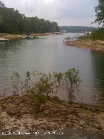 LOT 38 STONEY POINTE LANDING Ln, Double Springs, AL 35553