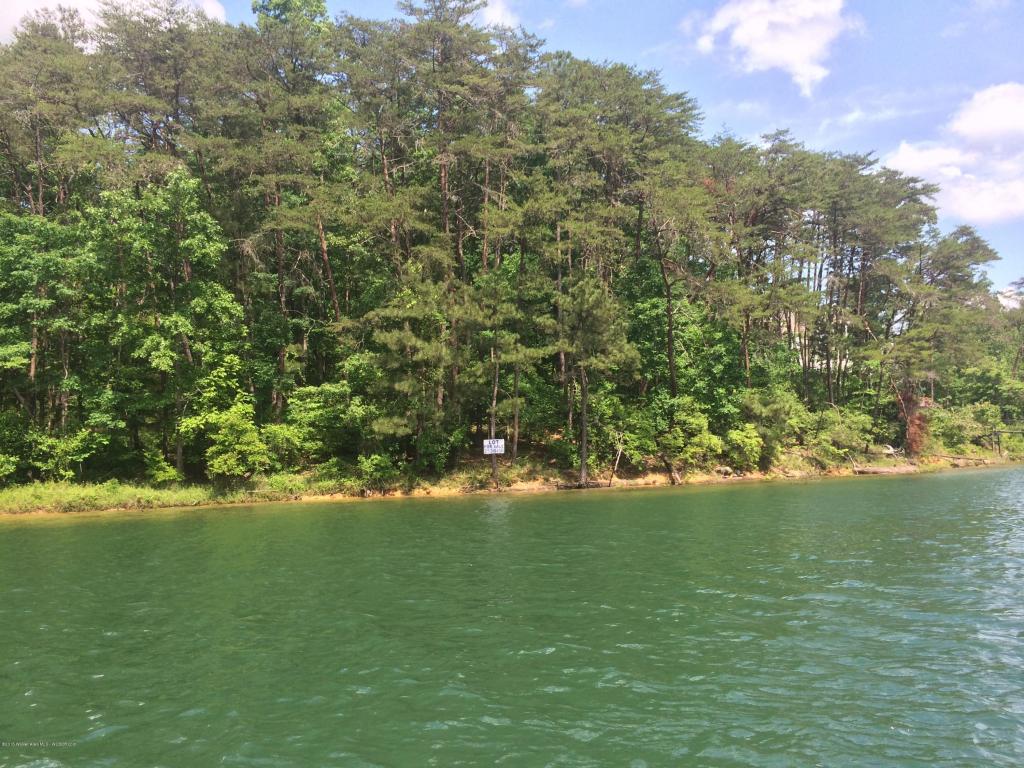 LOT #2 EDGEWATER POINT, Double Springs, AL 35553