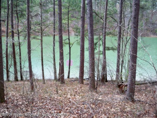 LOT #2 EDGEWATER POINT, Double Springs, AL 35553