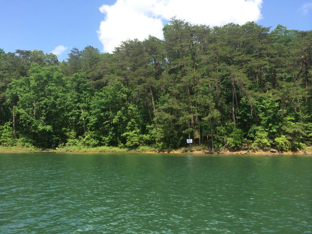 LOT #2 EDGEWATER POINT, Double Springs, AL 35553