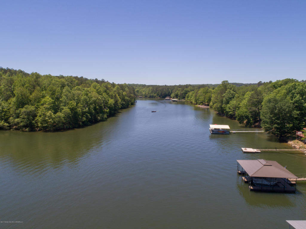 550 E LAKESHORE Dr, Double Springs, AL 35553